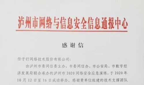 任子行网络技术股份 以技术创新驱动，引领网络服务新篇章